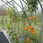 Plant Support Kit