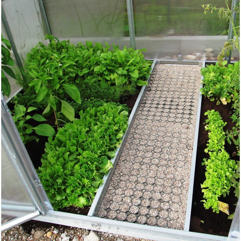 Path Divider - GreenlyHouse
